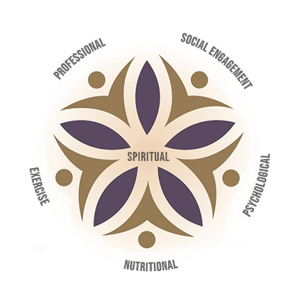 Asami 6 Element Framework