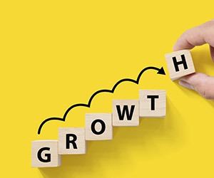 supporting-organisational-growth-and-enhancement supporting-organisational-growth-and-enhancement